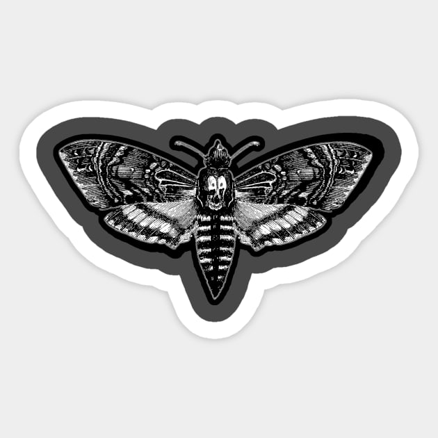 Deaths Head Moth Sticker by Bits